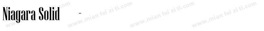 Niagara Solid字体字体转换